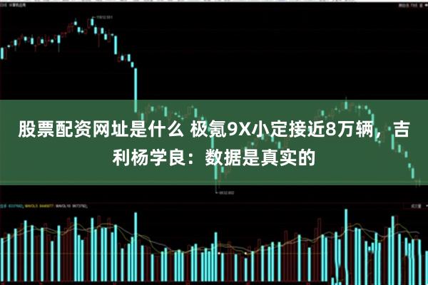 股票配资网址是什么 极氪9X小定接近8万辆，吉利杨学良：数据是真实的