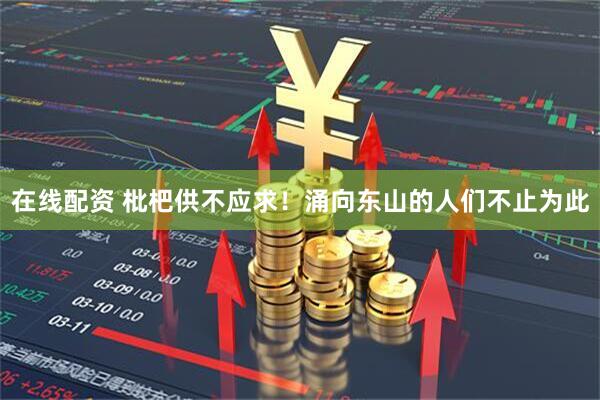 在线配资 枇杷供不应求！涌向东山的人们不止为此