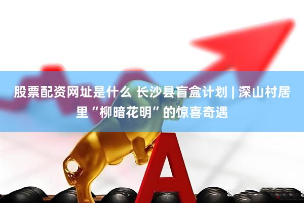 股票配资网址是什么 长沙县盲盒计划 | 深山村居里“柳暗花明”的惊喜奇遇